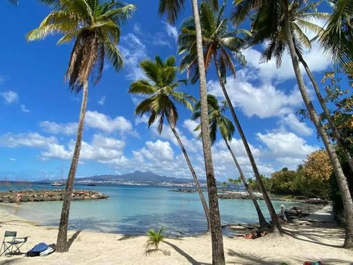 Appartement 1 Chambre Pieds Dans L'Eau - Les Trois-Ilets - Fr-1-765-5 Apartment